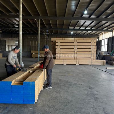 AS/NZS Certified Structural LVL for Australian Timber Framing view 6
